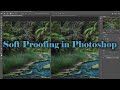 Soft Proofing in Photoshop