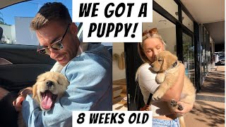 Bringing Home Our Golden Retriever Puppy! | First Week At Home