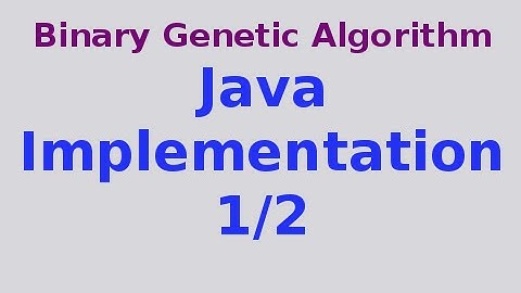 Genetic Algorithms 8/30: Binary Genetic Algorithm .. Java Code 1/2