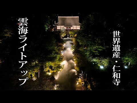 幻想的な雲海 仁和寺ライトアップ…京都