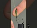 One Wrong Knot=No Fish All Day (Here’s the Fix#knot #floridafishing #fishing #viral #usa #australia