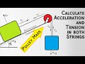 Physics Quiz on Newton's Laws and Pulley Systems