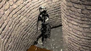 Liquid Morph