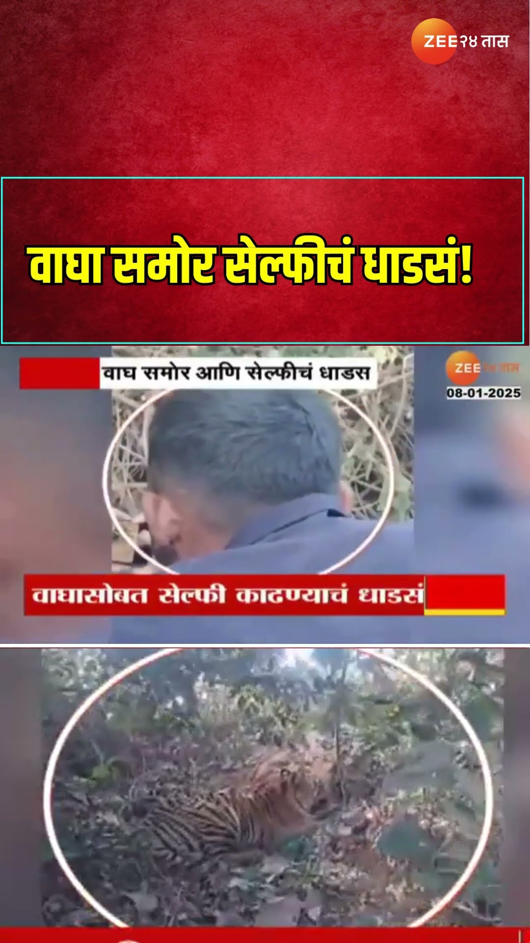 Bhandara Tiger | वाघा समोर सेल्फीचं धाडसं !