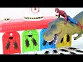 Spiderman, Thomas, Tayo, Cockroach Story