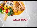 Еда и мозг. Питание для мозга. Топ продукты для мозга.