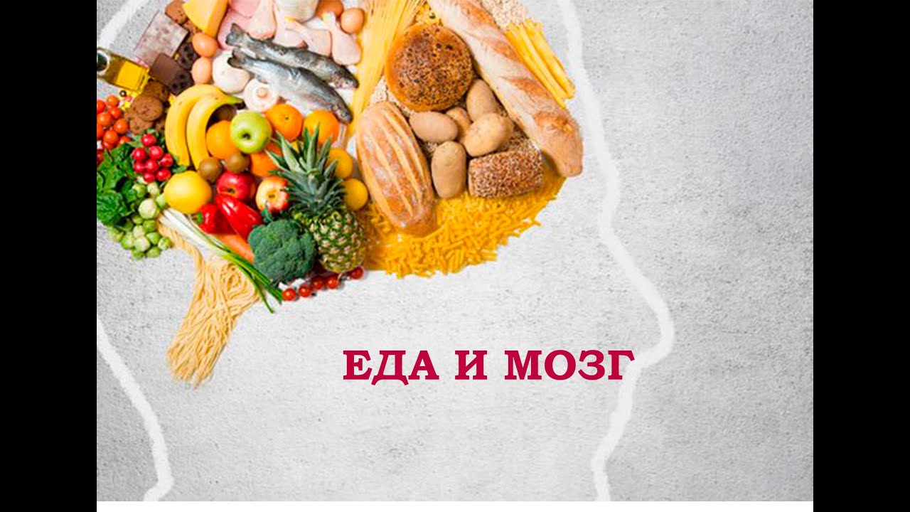 Еда и мозг. Питание для мозга. Топ продукты для мозга. - YouTube