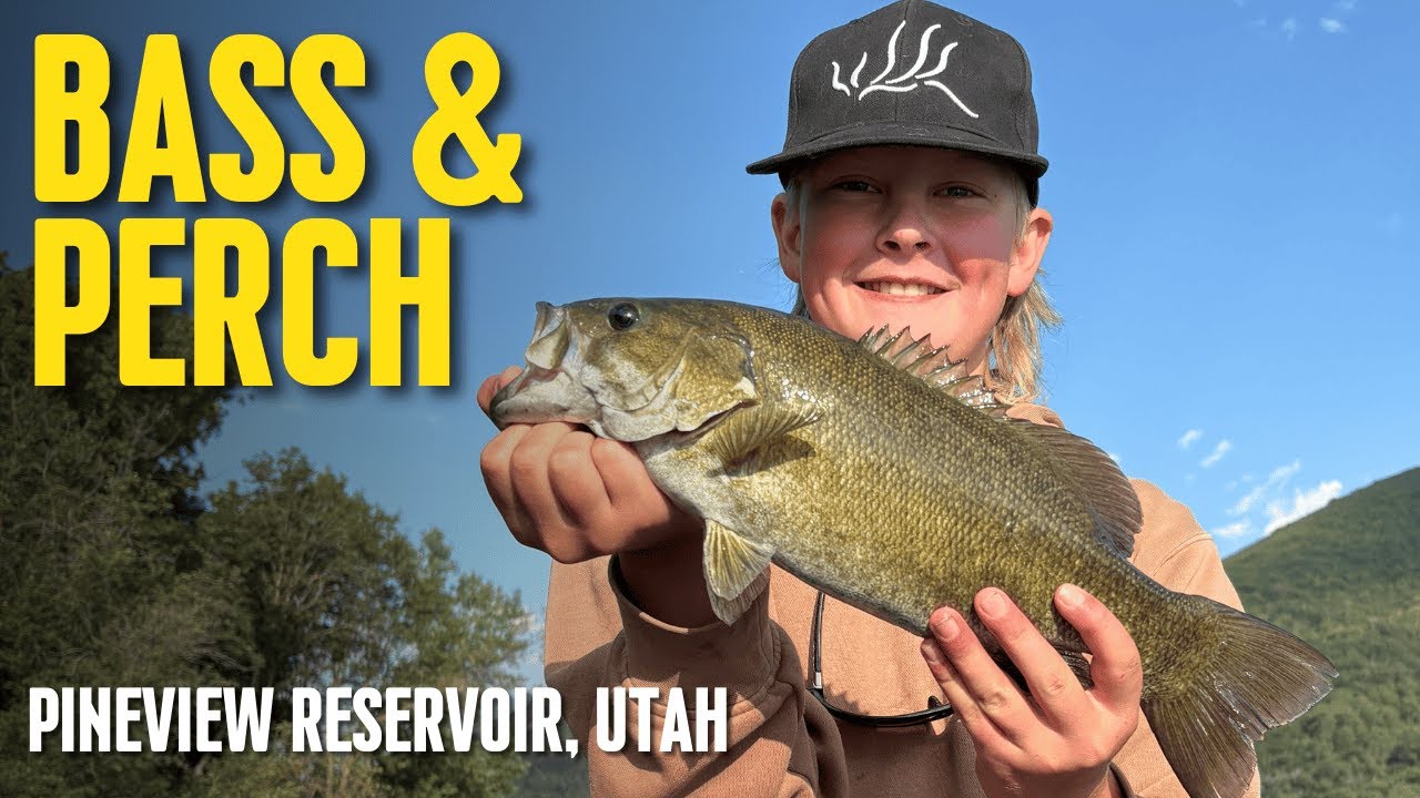 Bass fishing at Pineview Reservoir Utah