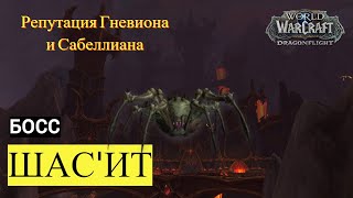 Босс ШАС'ИТ | World of Warcraft: Dragonflight