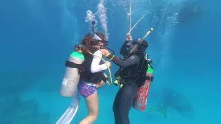 Female Scuba Divers Ascending To Surface