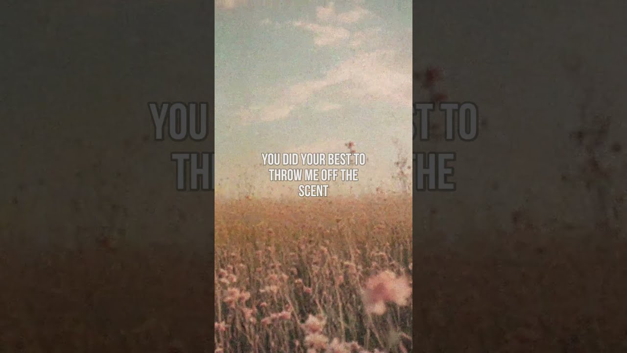 the lumineers - asshole