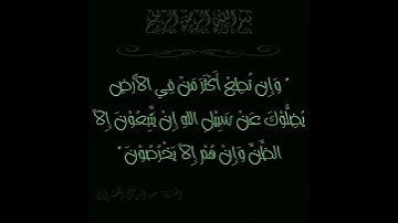 القارئ عبد الرحمن الخضراوي بأداء تخشع له القلوب