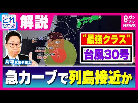【台風30号】週末～週明けに列島接近か 今後の進路は？気象予報士が解説｜東京は「真夏日」から一転 22日は“さわやかな気温”に 東京・JR四ツ谷駅前にはヤギが…｜旬感LIVE とれたてっ！〈カンテレ〉