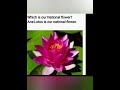 |NationalsymbolsofIndia 🇮🇳 |gkquestions#shorts#ytshorts