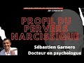 PSYCHOLOGICAL PROFILE OF THE NARCISSISTIC PERVERT / THE PN: recognize it to better protect yourself