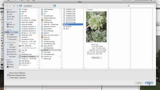 An Introduction to InDesign CS5 screenshot 4