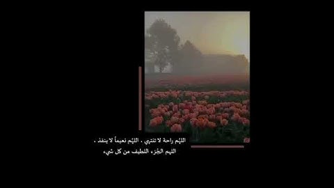 حالات واتس||القارئ/هزاع البلوشي||سورة/ابراهيم||تصاميم قران||انستقرام||استوري||مقاطع قصيرة