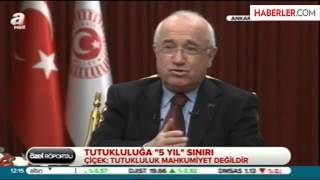 Çiçek, Hizbullah'a Haksızlık Yapıldığını İtiraf Etti