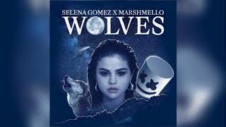 Selena gomez & marshmello - wolves (rock version)