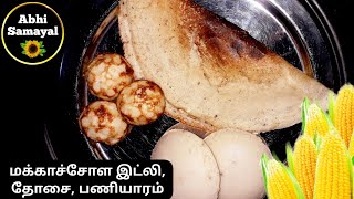 Makkachola Idly dosa in tamil | மக்காச்சோள இட்லி | How to make Makkachola maavu idly in tamil