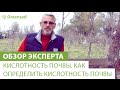 Кислотность почвы. Как определить кислотность почвы