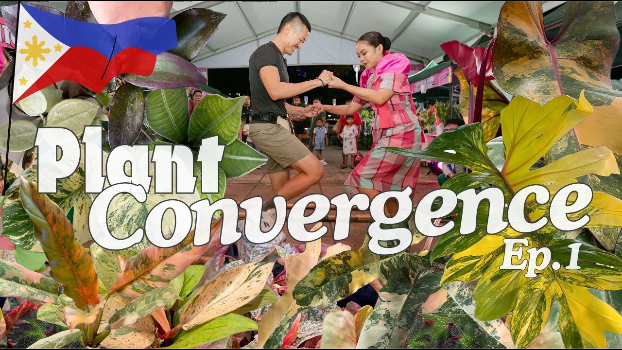 INSANE! Plant Show in Manila 🇵🇭 Philodendron Hybrids, Gorgeous Aroids, and More!