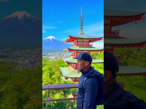 Chureito Pagoda  and the majesty of Mt. Fuji                      #mtfuji #japan #japantravel #fypシ