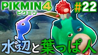 新エリアは水のステージ！また謎の葉っぱ人と対決！？『ピクミン4』を実況プレイ part22【PIKMIN4】