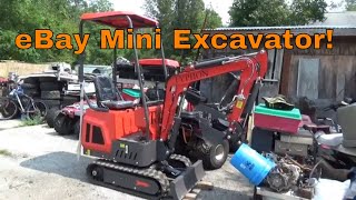 Bought a Mini Excavator on Ebay, Was it a Good Idea?