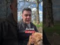 Stop Jumping up #dogtrainer doglicence.co.uk