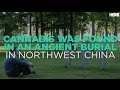 Marijuana Found In An Ancient Burial In Northwest China