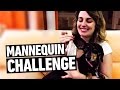 MANNEQUIN CHALLENGE COM 3 CACHORROS