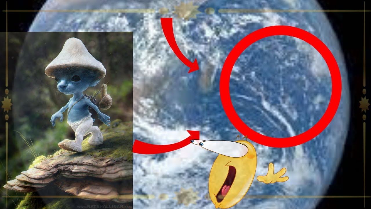 Is Smurf Cat Real In Real Life Smurf Cat Found In Real Life!!! - YouTube