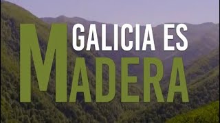Galicia es madera