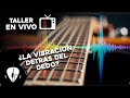 La guitarra eléctrica y la vibración ¿detrás del dedo?