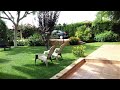 🌺Идеи для благоустройства дачи и сада / The best examples of garden design / A - Video