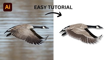How to Create a  Bird Vector  in adobe illustrator - Adobe Illustrator Tutorial