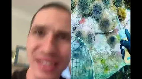 Mom hes taking every single one