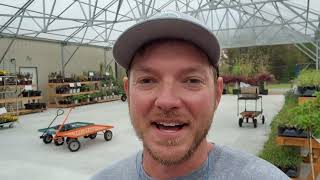 New Greenhouse! |Here's What's Happening Around the Nursery|