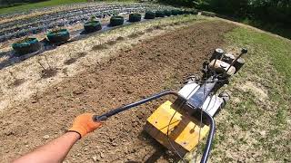 Garden milling (Yamaha multicultivator)