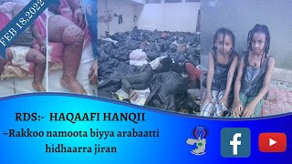 RDS:- Sagantaa- HAQAAFI HANQII  Gurraandhala 11  Bara 2014  (18 FEBRUARY 2022)