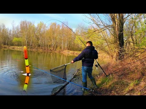 Весна пришла - КАРП проснулся. Рыбалка на поплавок 2024