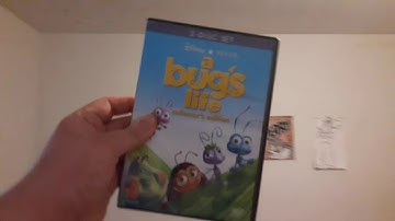 DVD Collection in a Nutshell (Version 12)