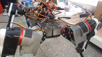 Standing of quadruped robot