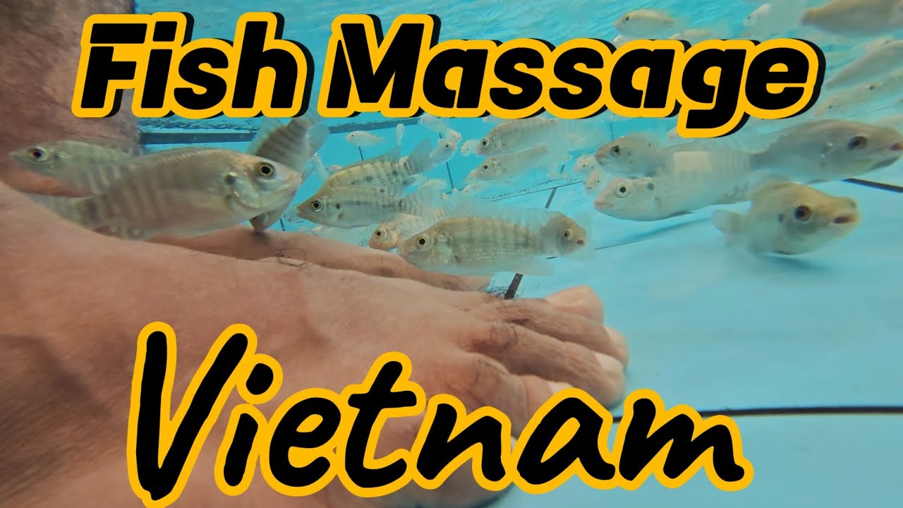 Fish Massage Foot Pedicure Vietnam YouTube fish-massage-foot-pedicure-vietnam-youtube