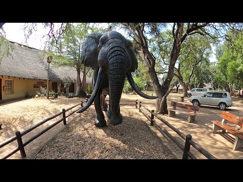 Letaba Camp - Kruger National Park - South Africa