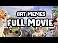 Cat memes road trip compilation