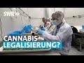 Kiffen ohne Reue? Wie sinnvoll die Cannabis-Legalisierung ist | SWR Zur Sache! Rheinland-Pfalz