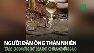 Người đàn ông thản nhiên tắm cho rắn hổ mang chúa khổng lồ | VTC14