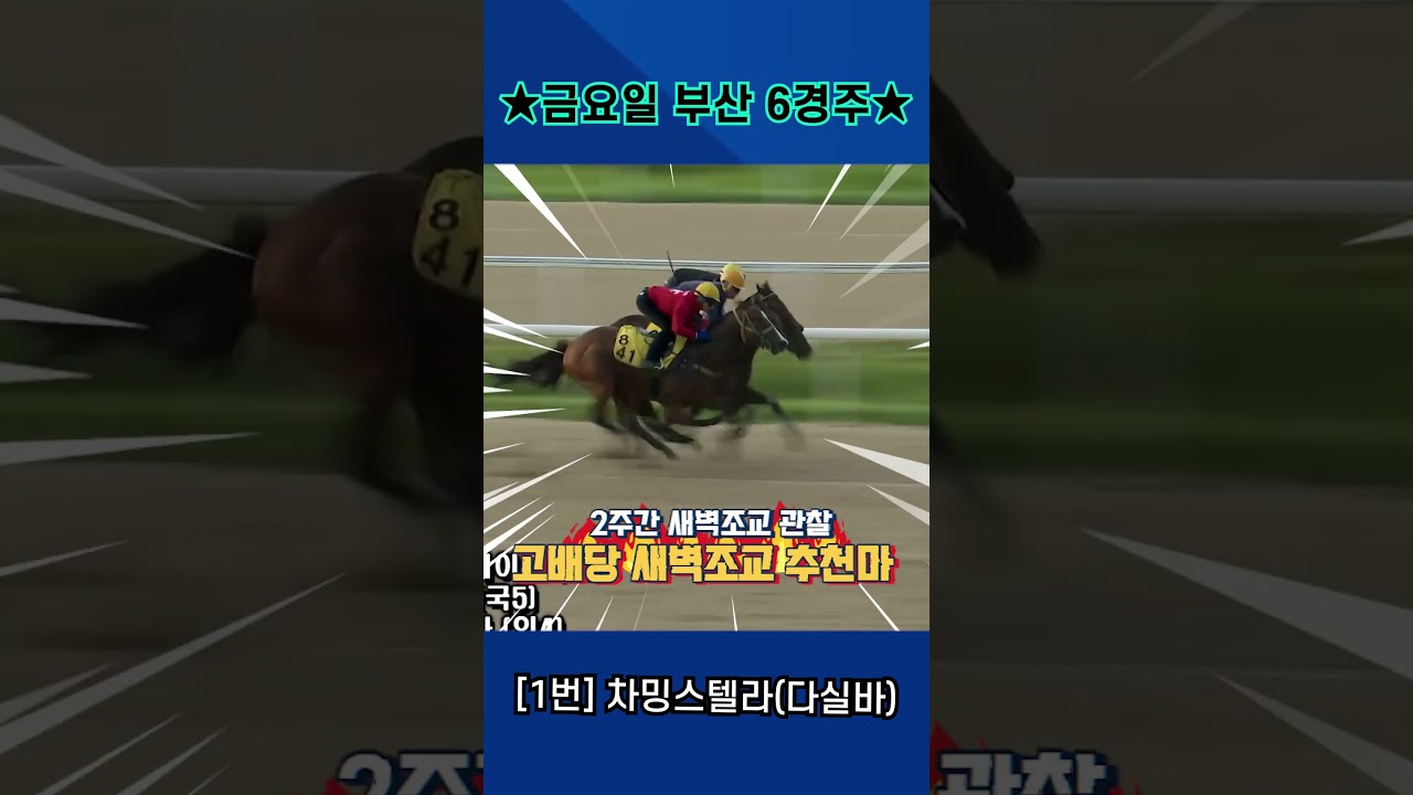 9월4일 금요일 부산 6경주!! 2주간 훈련보인 강백호의 새벽조교 쏘스마!!